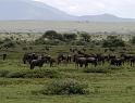 The Great Migration II